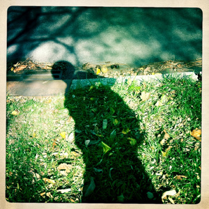 亚欧洲精品在线视频免费观看
